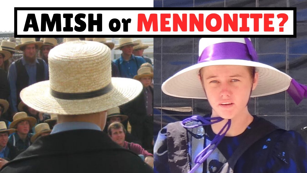 amish vs mennonite