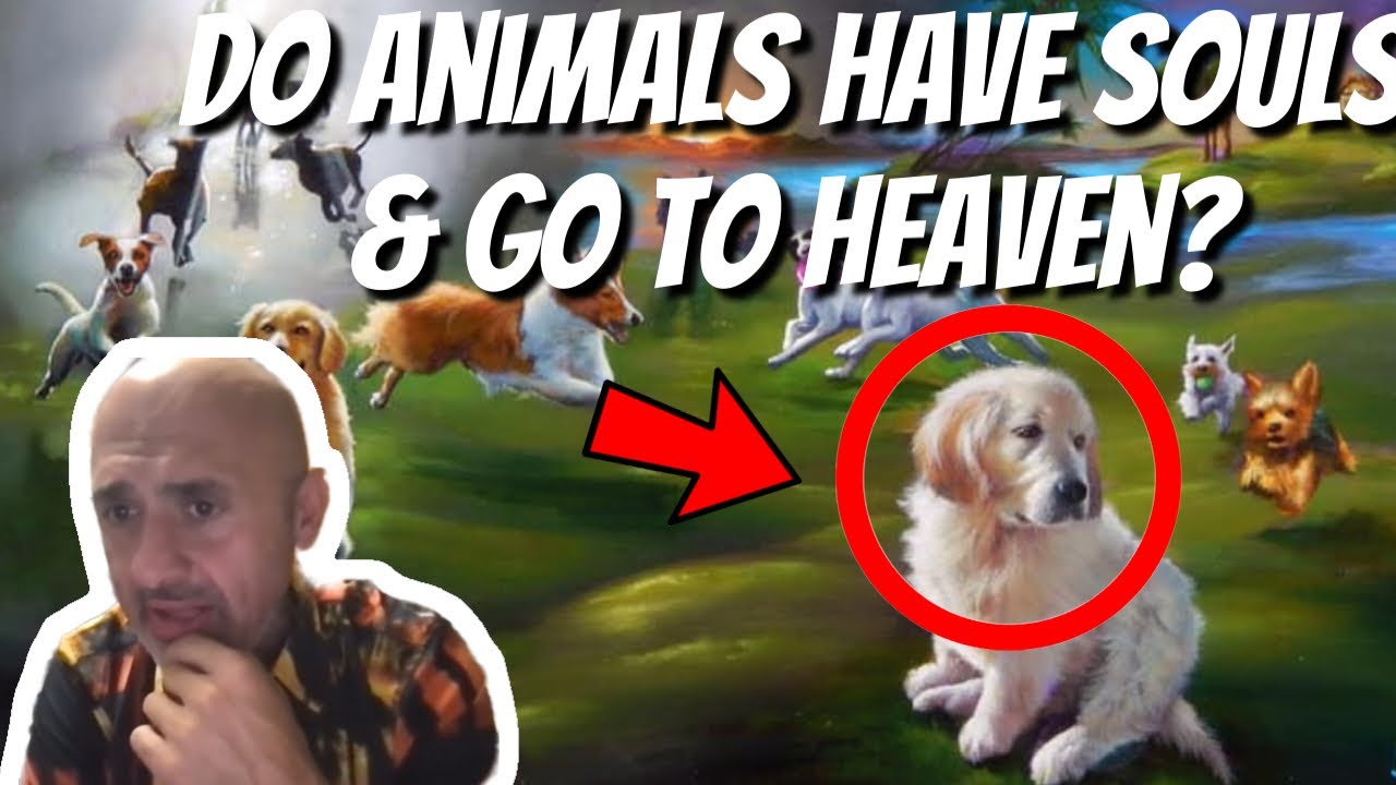 do animals have souls