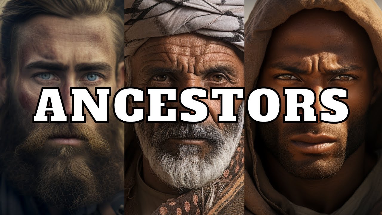 how many sons did noah have