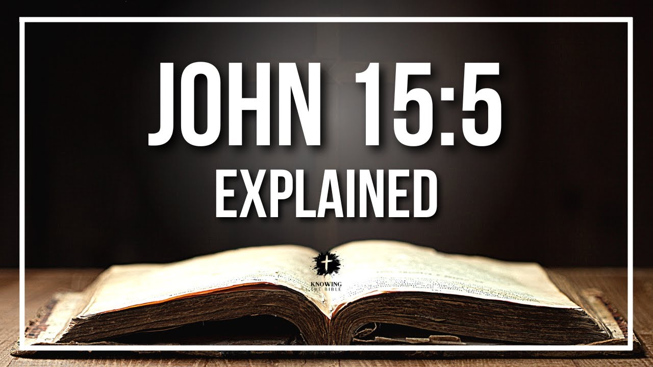 john 15:5