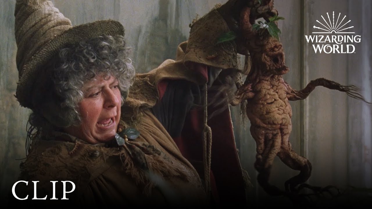 mandrakes