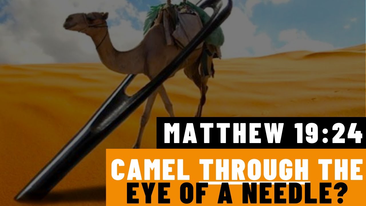 Matthew 19:24: 7 Lessons on Wealth and Spirituality 1 matthew 19:24