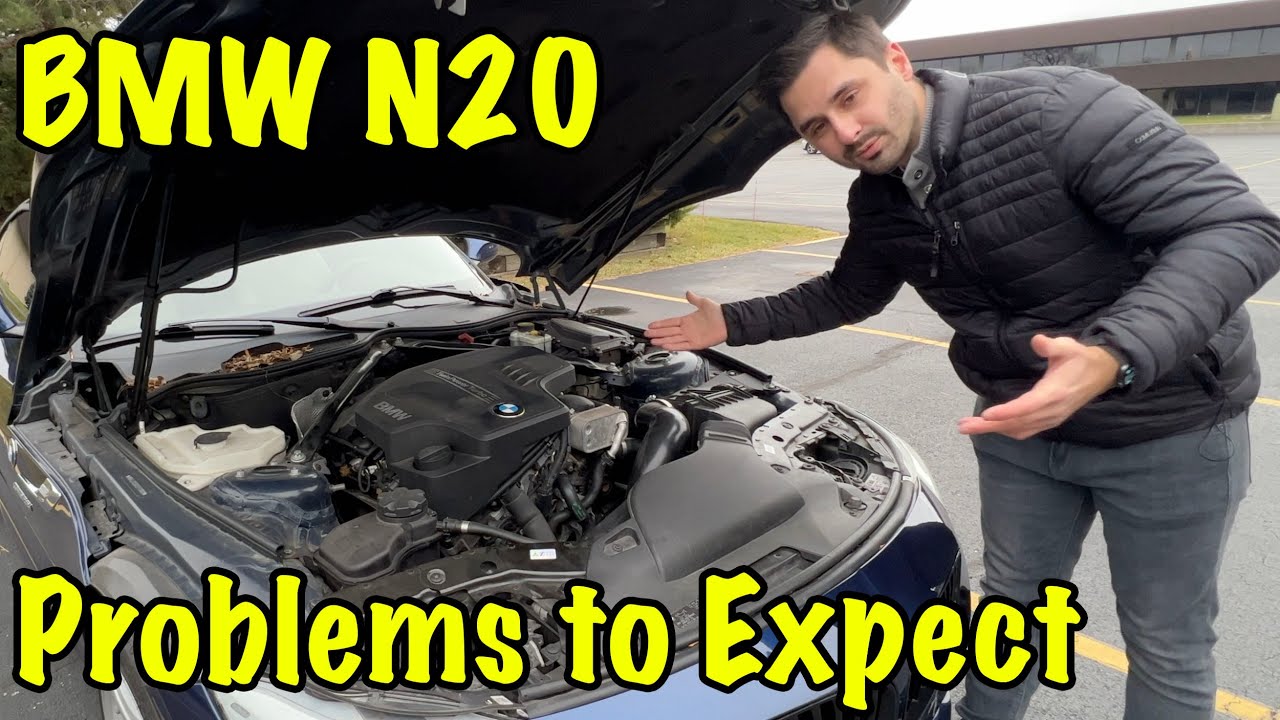n20