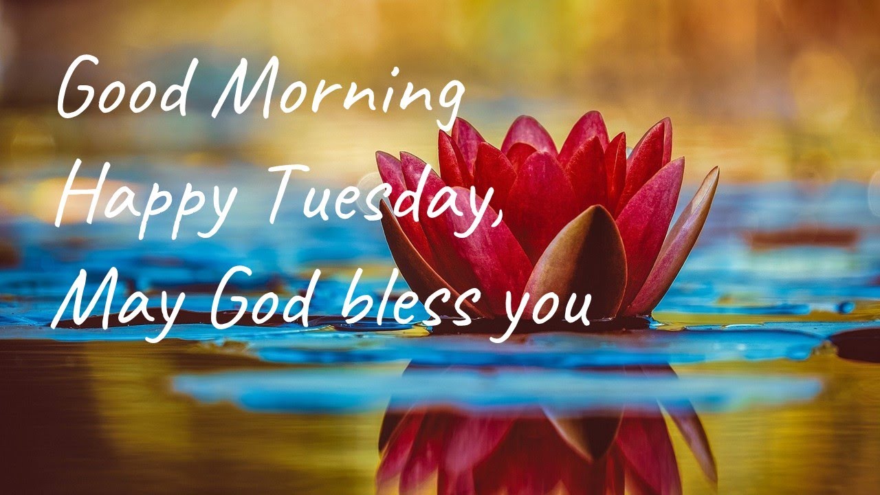 positive good morning tuesday blessings
