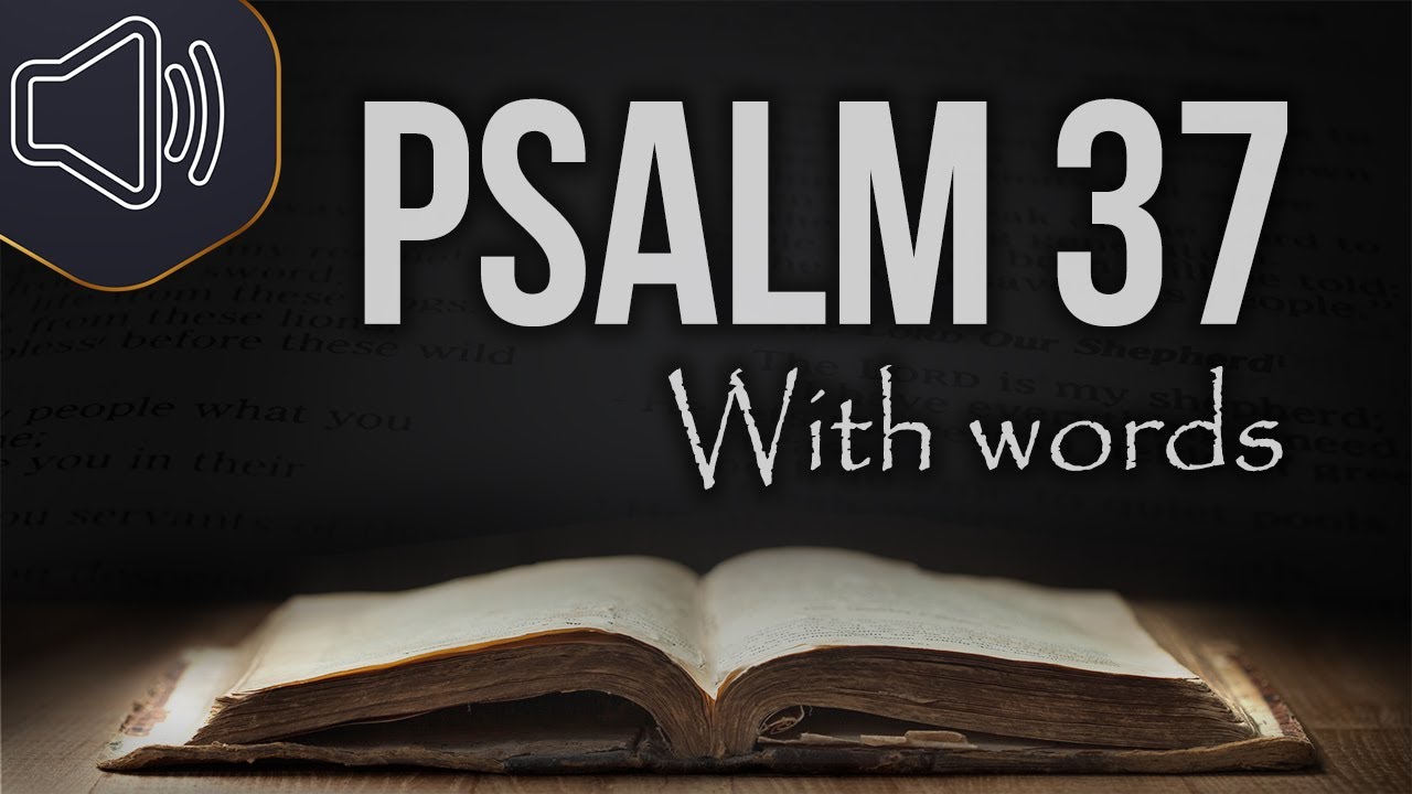 Psalm 37:13: 7 Reasons to Trust in Divine Justice 1 psalm 37:13