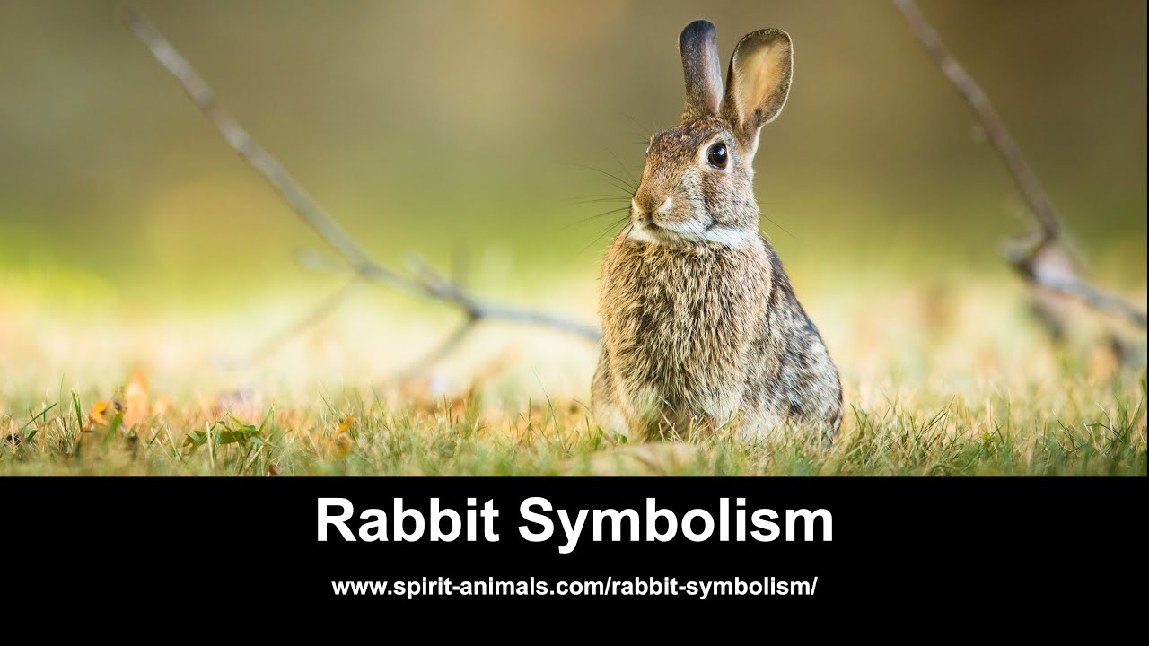 rabbit symbolism