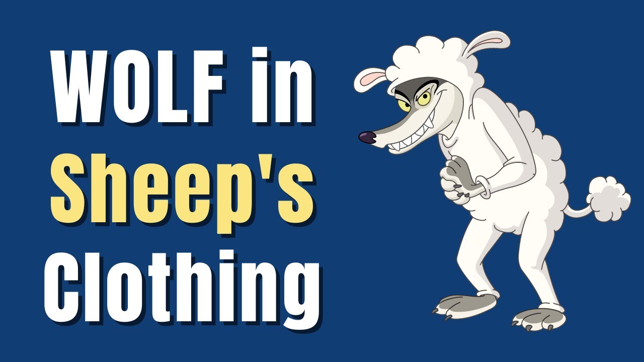 wolf in sheep\\\\\\\\\\\\\\\\\\\\\\\\\\\\\\\'s clothing meaning