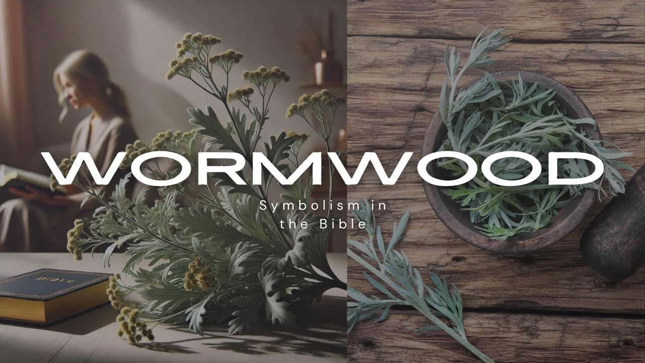 wormwood bible