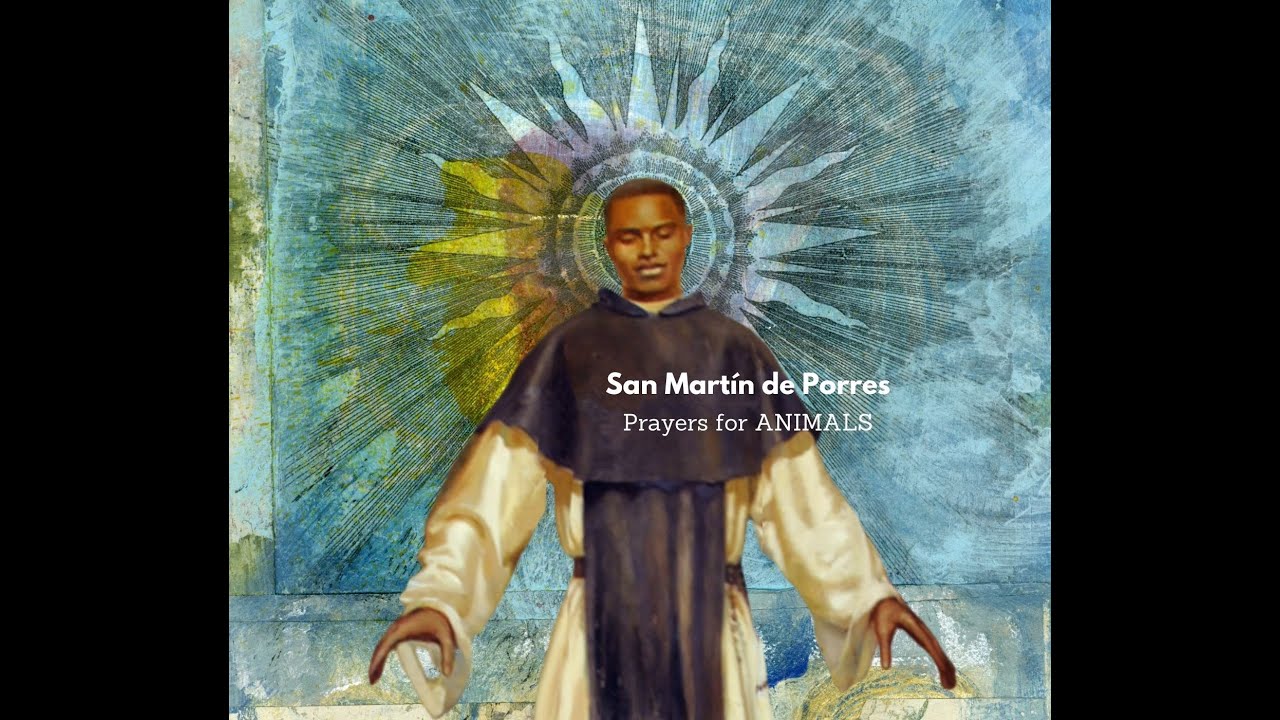 saint martin de porres prayer for animals