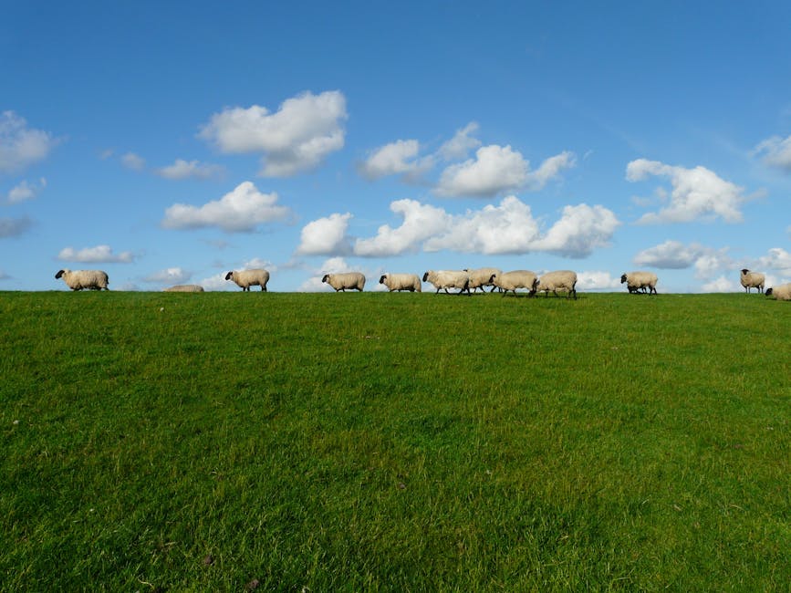 avantages hotesse de l'air