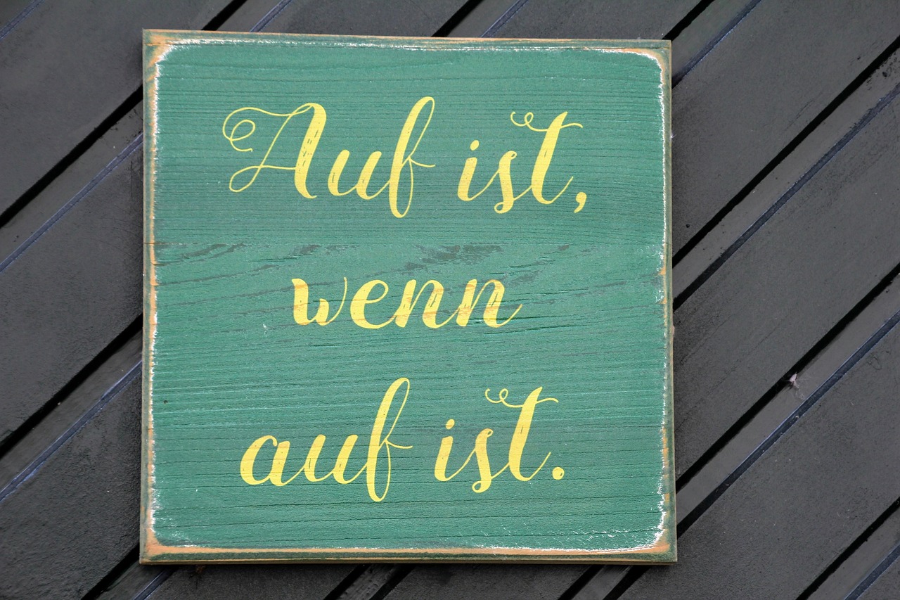 avis ipsos i-say