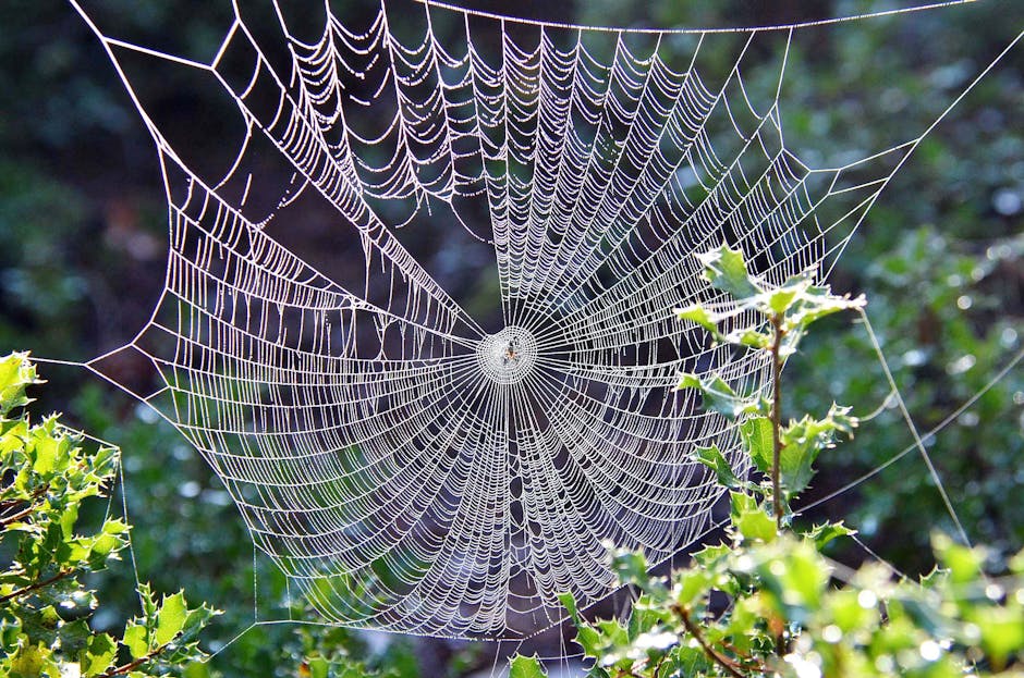 testeur de site web