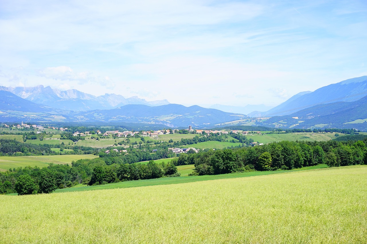 top 10 tableau le plus cher du monde