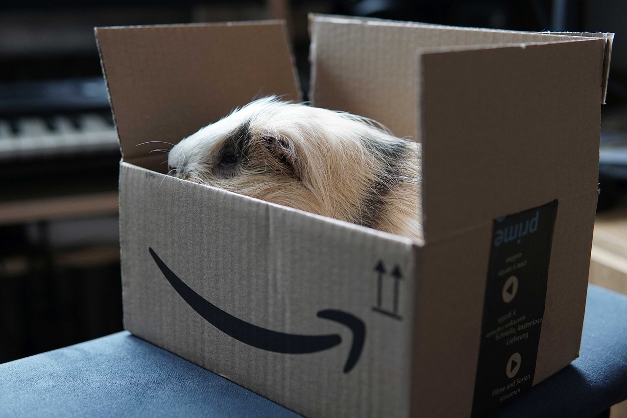 turc mécanique d amazon