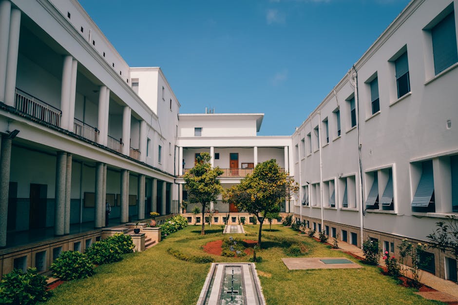 Université gratuite : 5 ressources étonnantes à découvrir ! 1 université gratuite