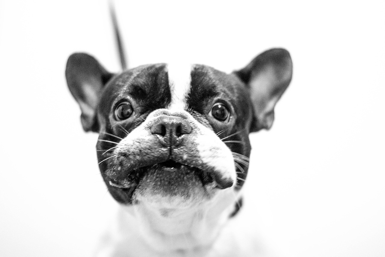 Foap français 5 conseils incontournables pour réussir vos photos 1 foap français