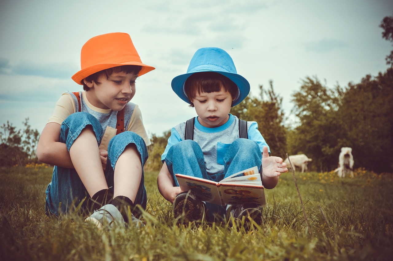 bücher lesen geld verdienen