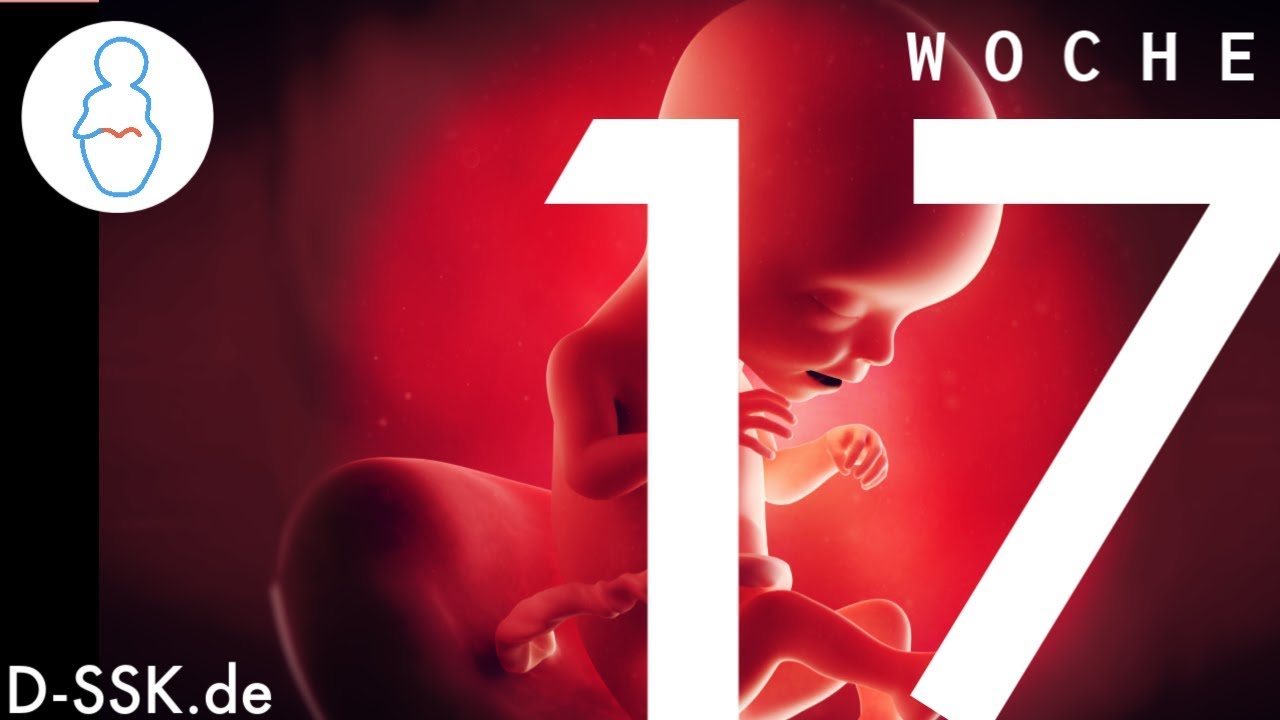 17 wochen altes baby entwicklung