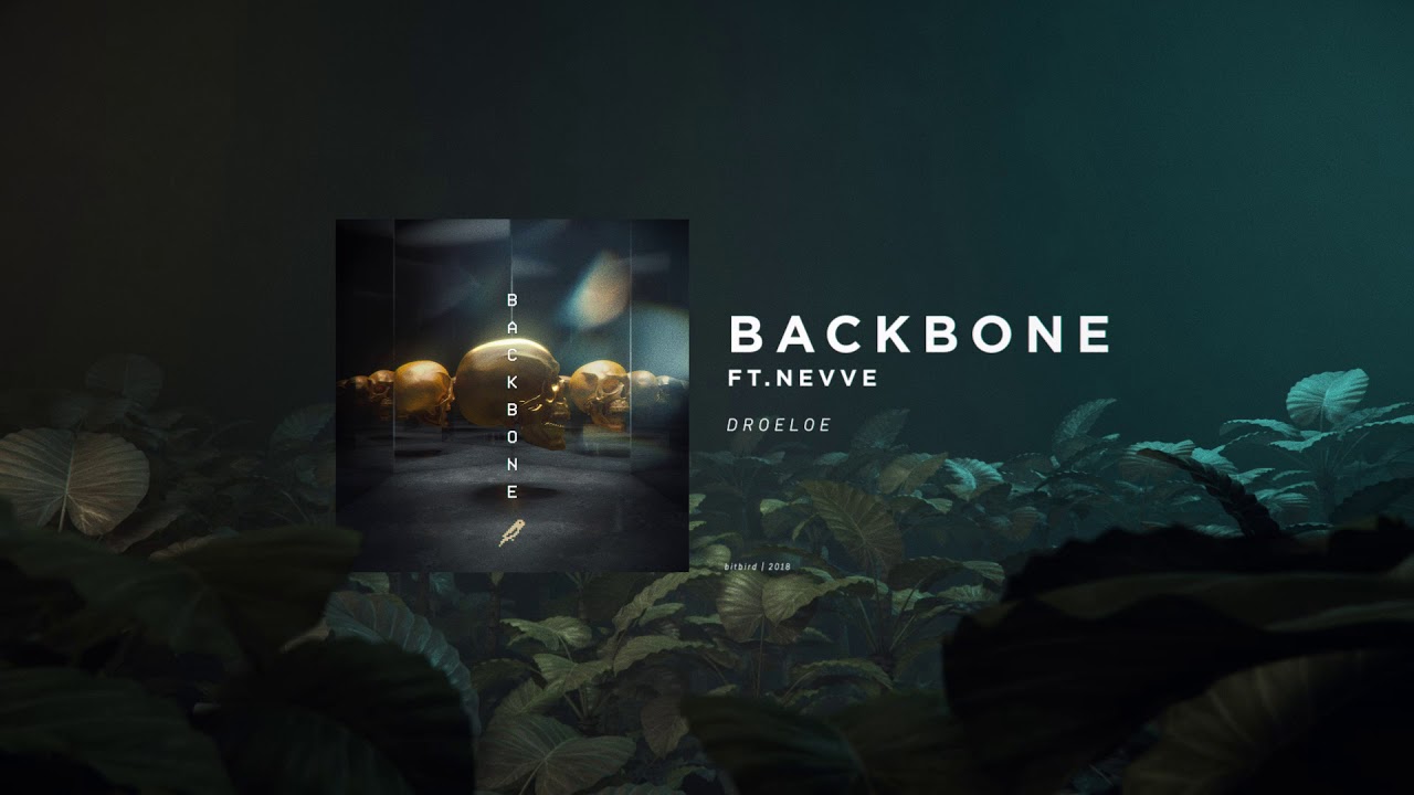 Backbone 7 entscheidende Schritte zur Optimierung Ihrer Struktur 1 backbone
