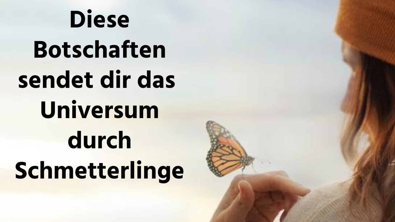 bedeutung schmetterling spirituell