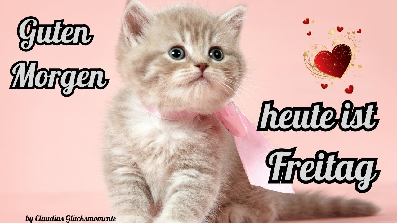 Guten Morgen Freitag: 5 Gründe, heute positiv zu bleiben 1 guten morgen freitag