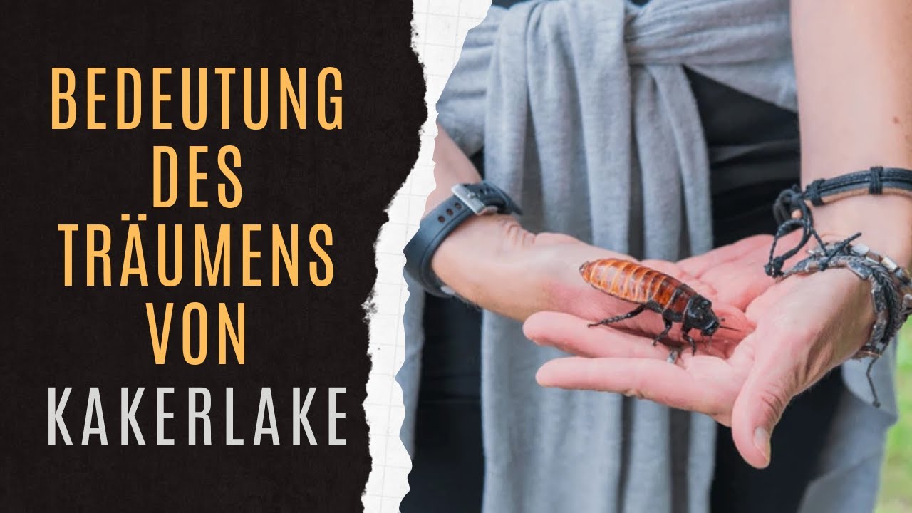 Kakerlake spirituelle Bedeutung: 7 faszinierende Entdeckungen! 1 kakerlake spirituelle bedeutung