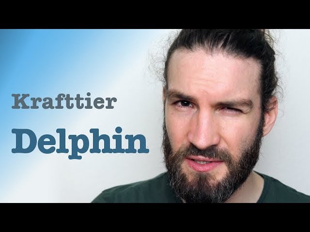 Krafttier Delphin: 7 erstaunliche Kräfte für dein Leben 1 krafttier delphin