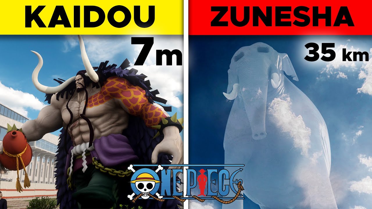 One Piece Charaktere 7 Helden, die die Welt verändern! 1 one piece charaktere