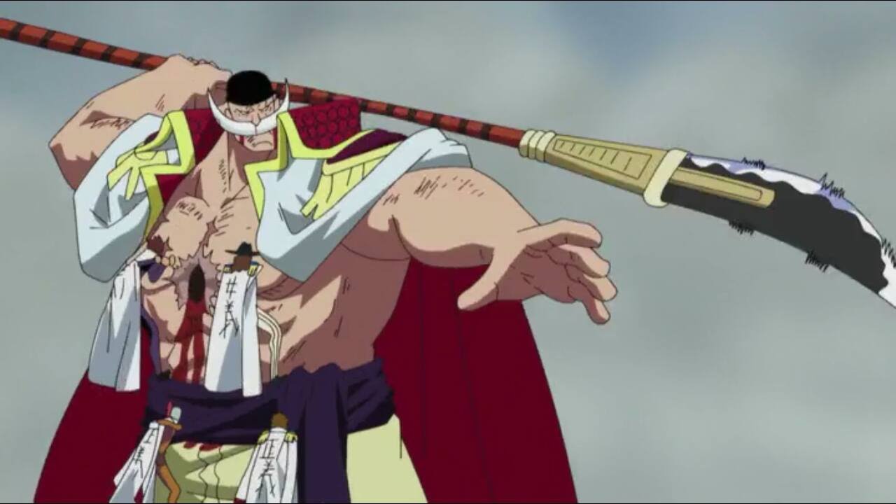 one piece folgen