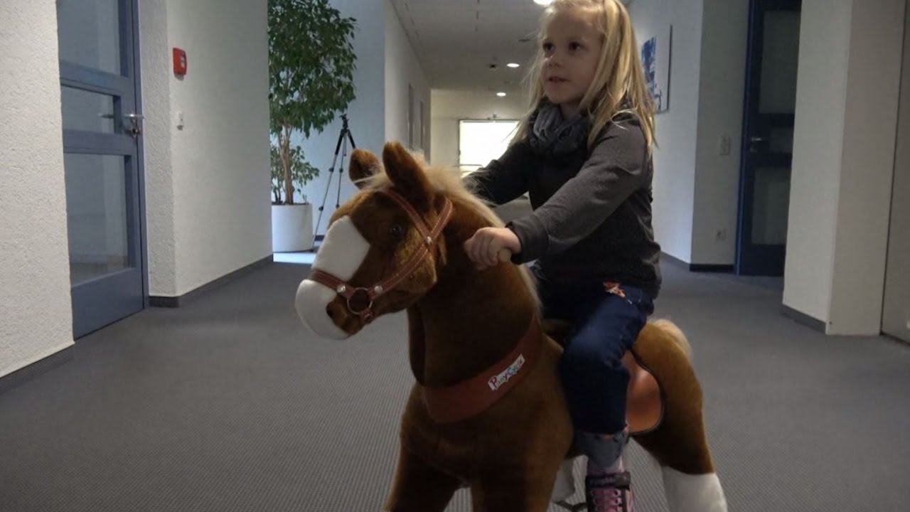 pferd auf rollen