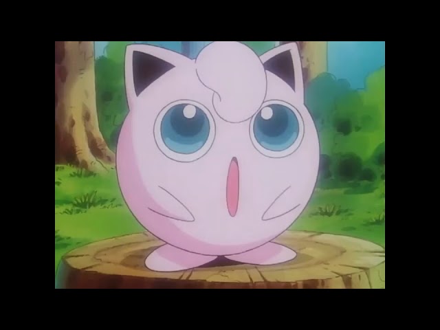 pummeluff