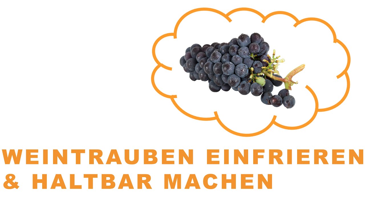 Traubensaft einfrieren 5 Tipps für den perfekten Genuss 1 traubensaft einfrieren