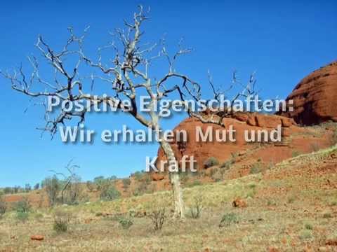Traumdeutung Wolf: 7 Geheimnisse über deine Träume enthüllt 1 traumdeutung wolf