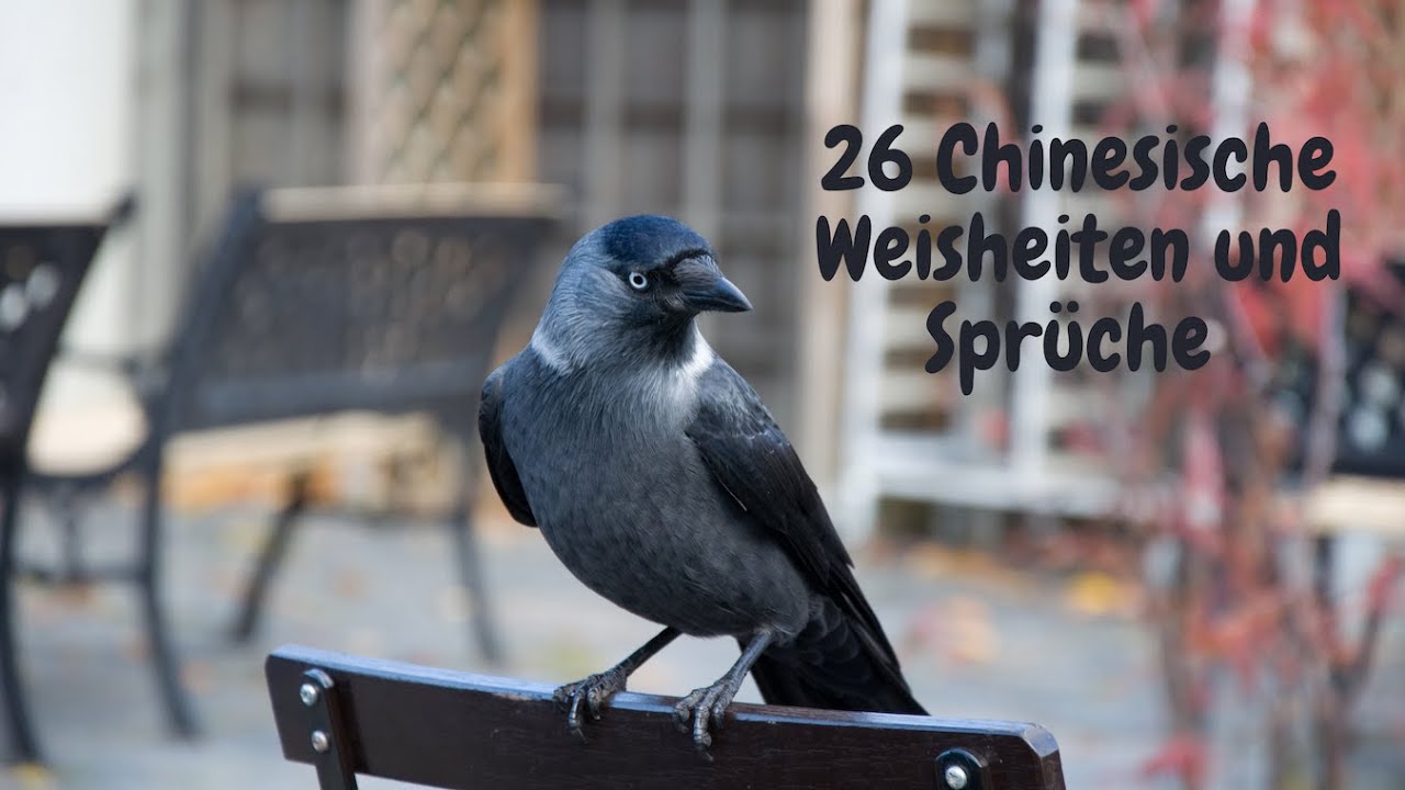 Chinesische sprichworte: Ratgeber – 25 Beispiele, praktisch erklärt 1 chinesische sprichworte