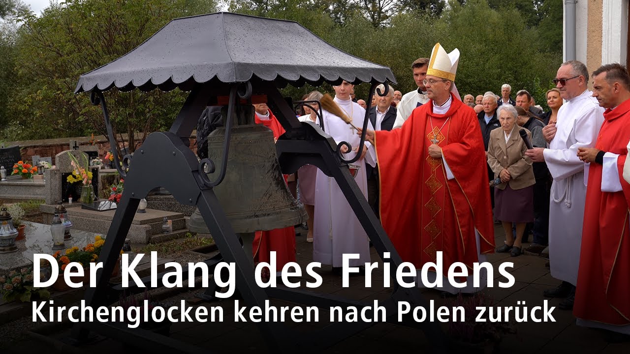 Diözese einfach erklärt: vollständiger Ratgeber in 7 Schritten 1 diözese