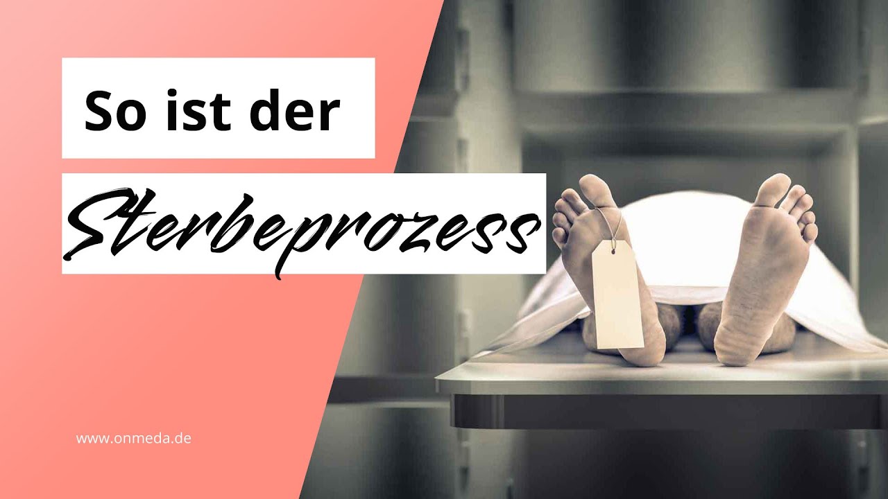 Aufblühen vor dem tod erfahrungsberichte – aktualisiert: Ratgeber 1 aufblühen vor dem tod erfahrungsberichte