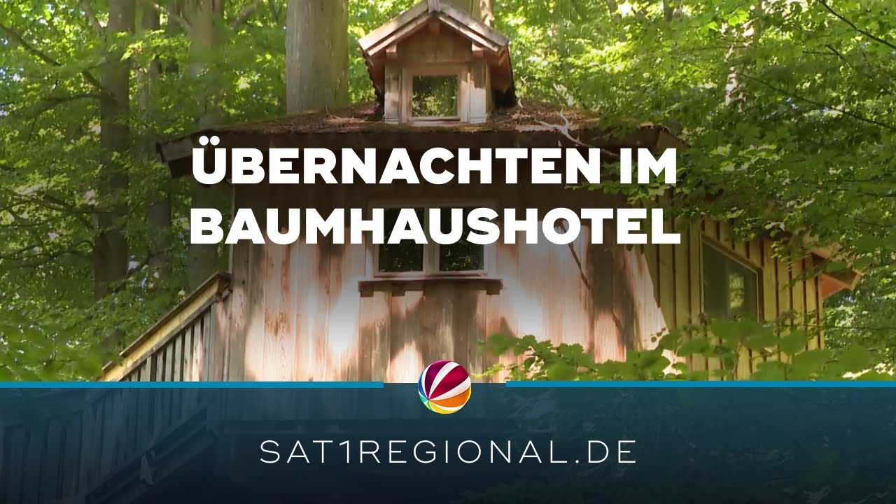 Baumhaus hotel deutschland: Ratgeber komplett mit 10 Tipps 1 baumhaus hotel deutschland