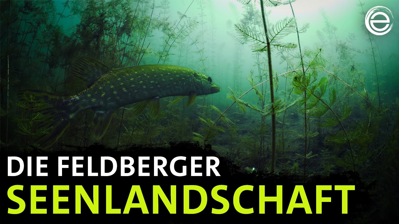 feldberger seenlandschaft geheimtipp