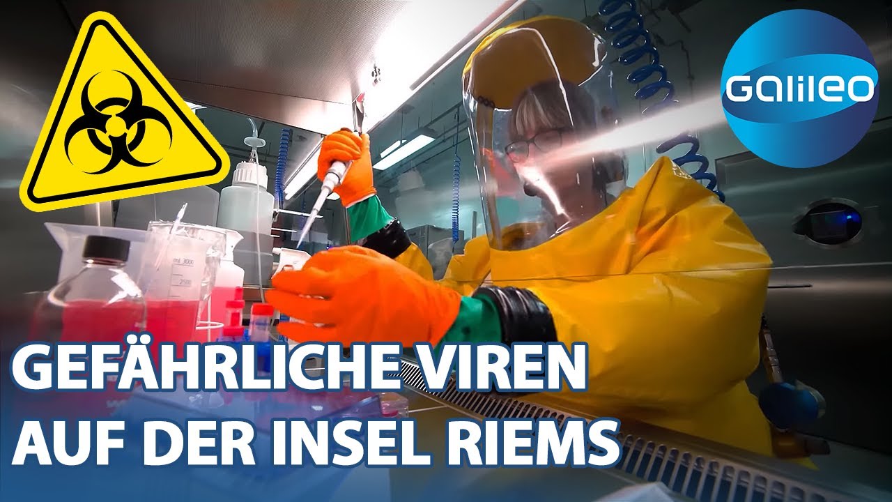 insel riems