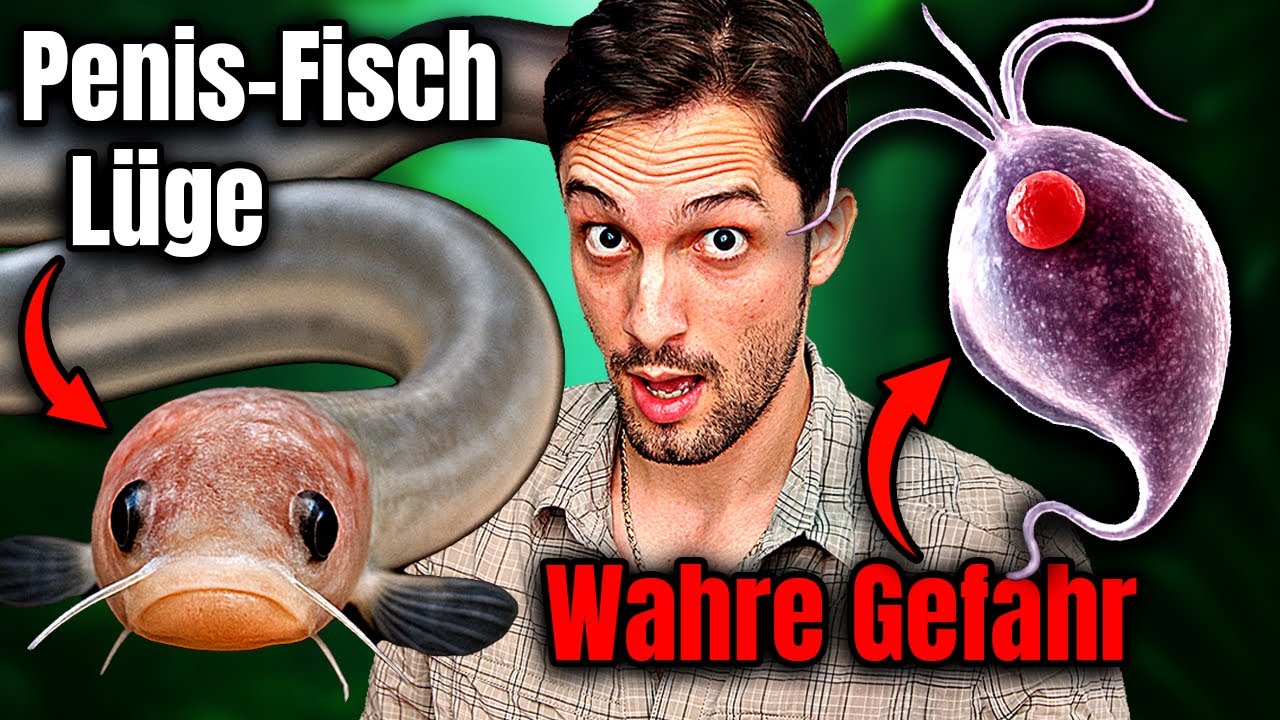 Penisfisch: aktualisiert – Ratgeber mit 7 Fakten & praktischen Tipps 1 penisfisch