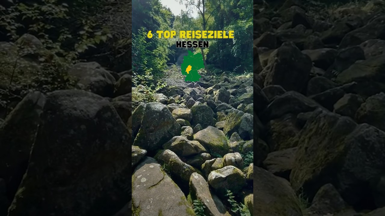 rhein main ausflugsziele