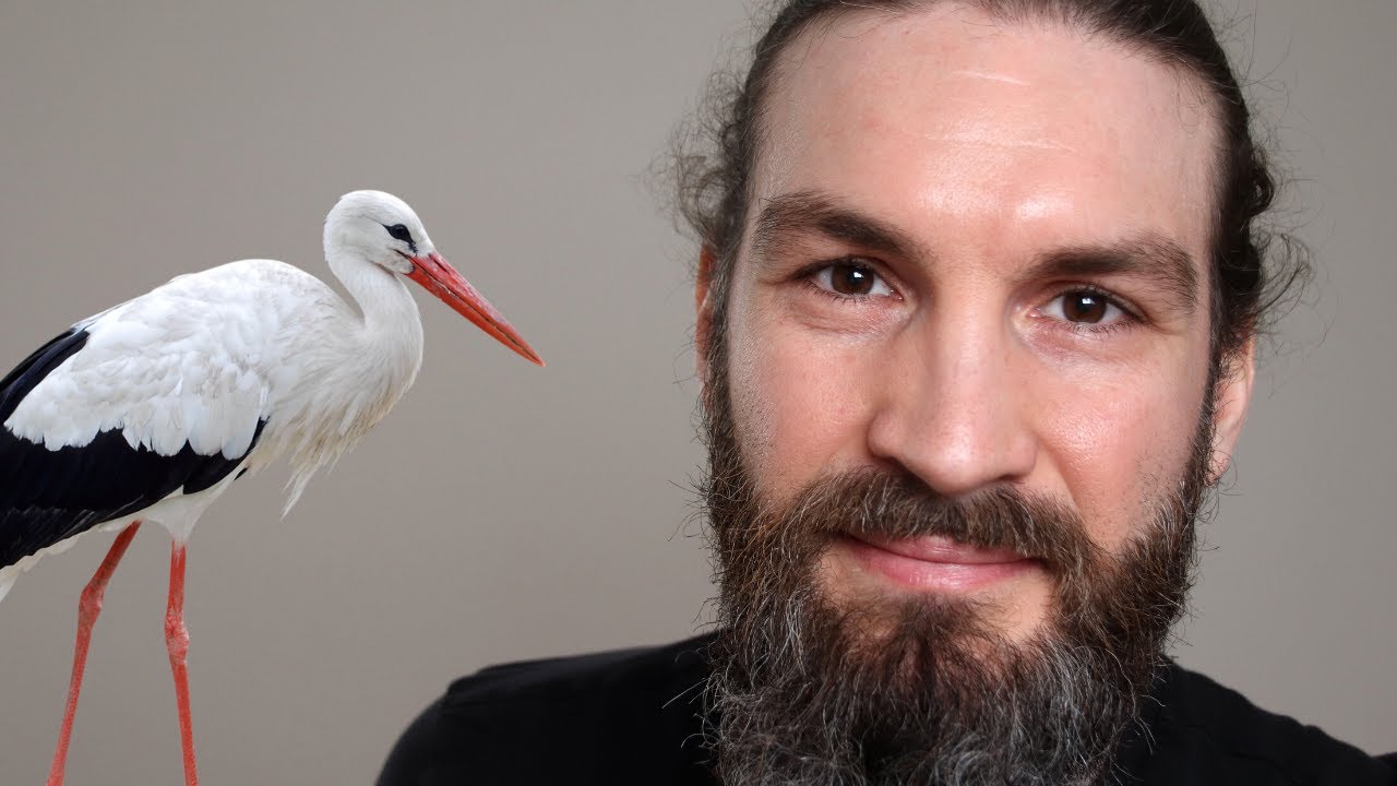 storch bedeutung spirituell