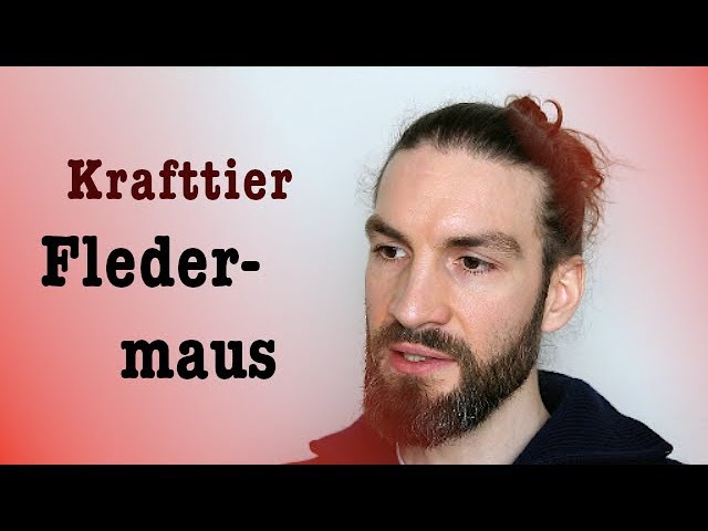 Bedeutung fledermaus: vollständig und professionell erklärt – 7 Punkte 1 bedeutung fledermaus