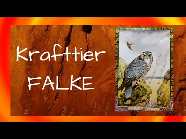 Falke spirituelle bedeutung: komplett und einfach in 5 Schritten 1 falke spirituelle bedeutung