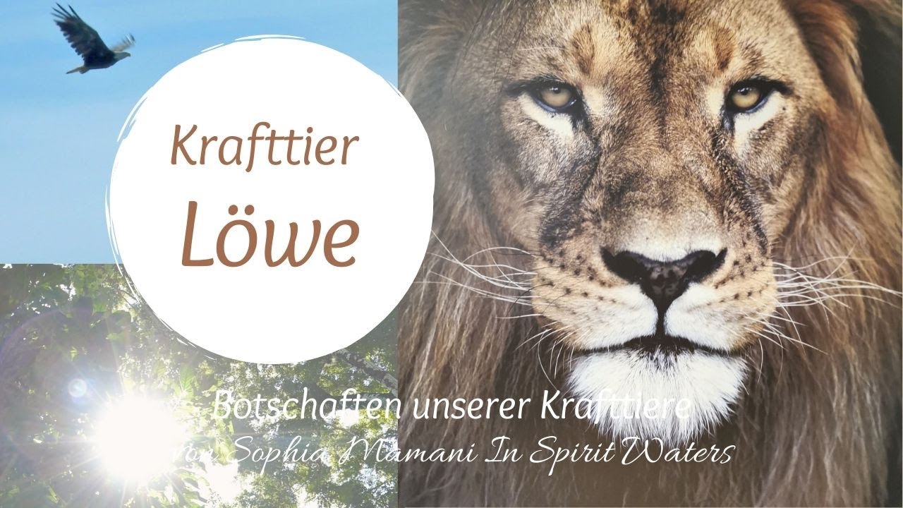 Krafttier löwe: kompletter Ratgeber – 7 wesentliche Bedeutungen 1 krafttier löwe
