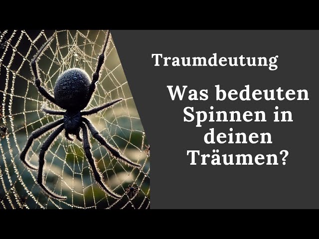 viele spinnen im traum
