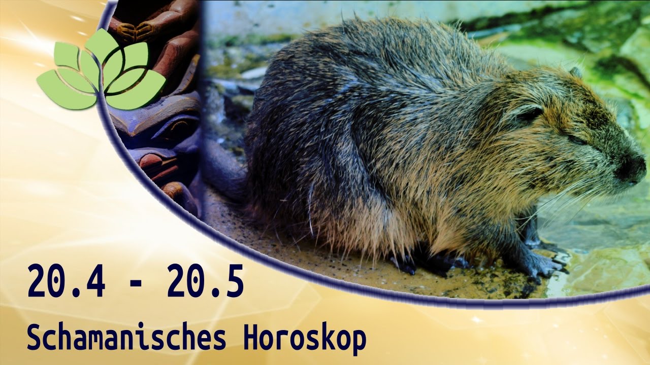 indianisches sternzeichen biber