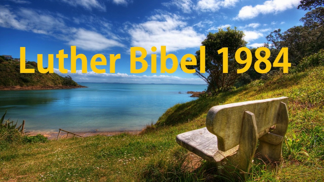 luther bibel