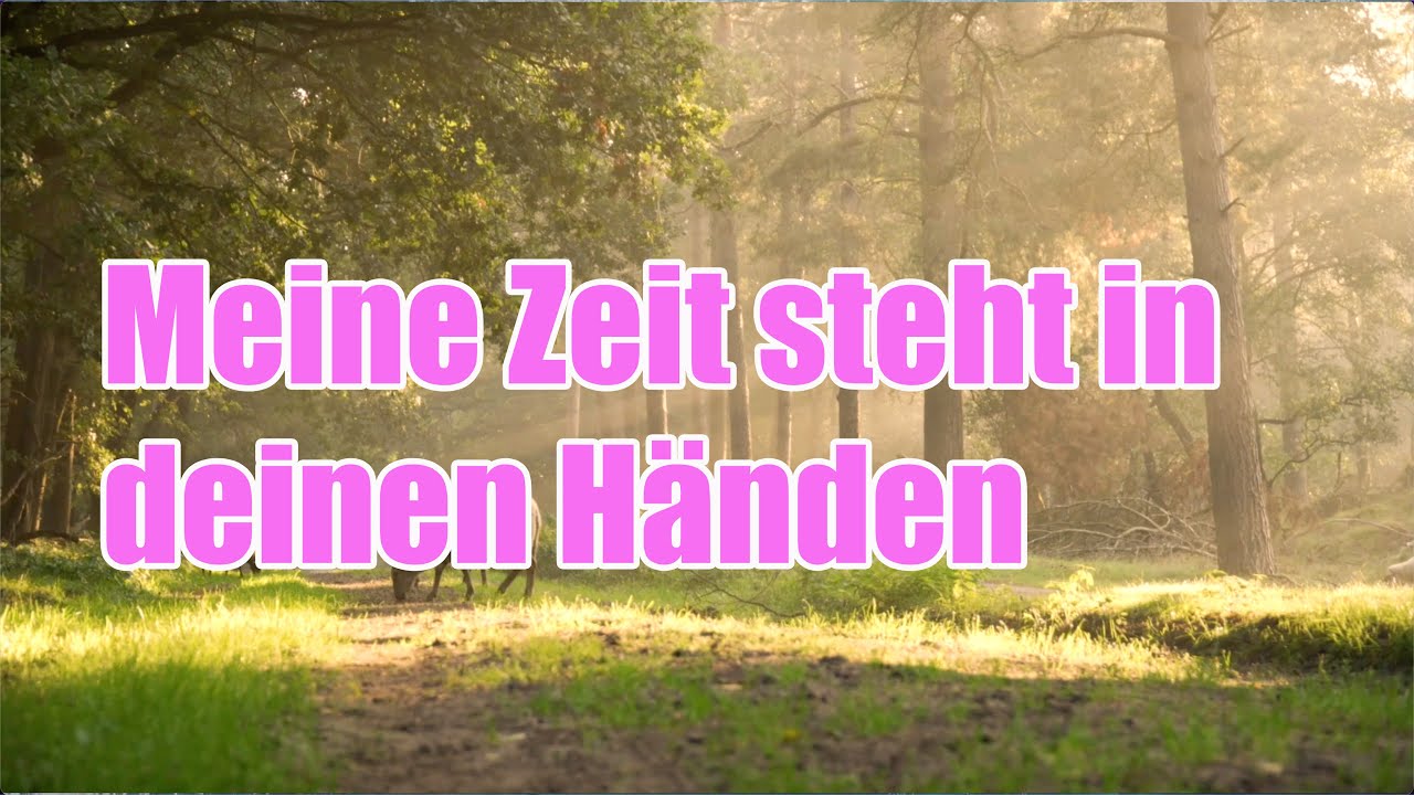 meine zeit steht in deinen händen peter strauch