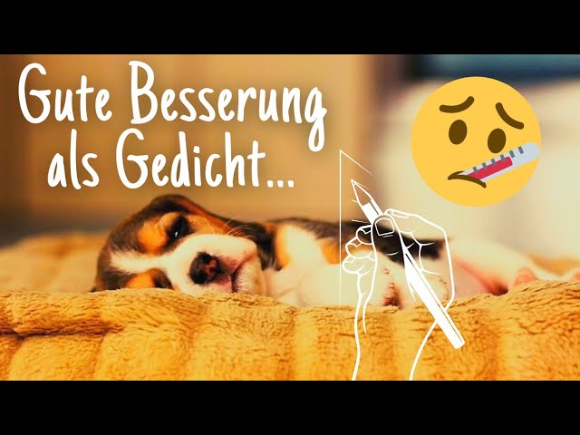 gute besserung gif bilder kostenlos für whatsapp